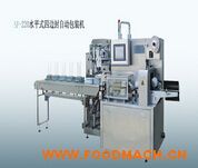 SF-250ˮƽʽ�ı߷��Զ���ʽ��װ��