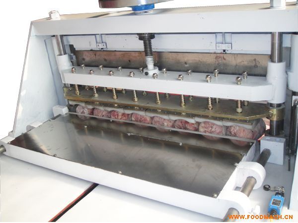 ������Ƭ��