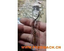 ���س�ݼӵ�����ڻ� 