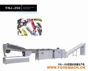 YNJ-250��Բ������������