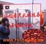 ��Ӧ С�Ͷ����춹��ɻ�