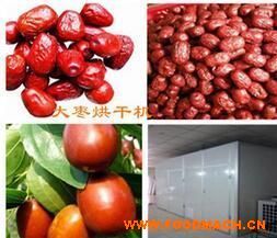 ����ֱ�������ɻ� �����ɻ� 