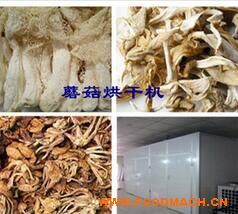 ����ֱ��Ģ����ɻ� Ģ����ɷ�