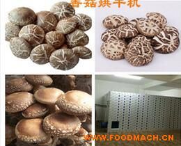 ����ֱ���㹽��ɻ� �㹽��ɷ�