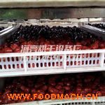����ֱ���޻�����ɻ�