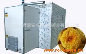 �ȷ�ѭ����� ������ɻ�����